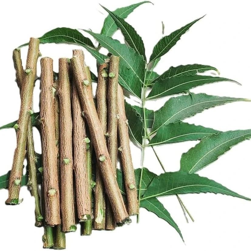 Neem Stick