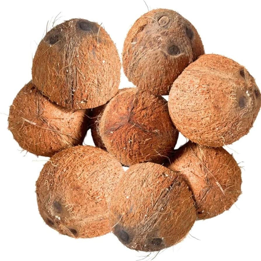 Coconut shell